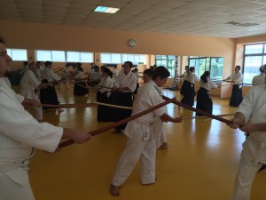 Asociacion para el Fomento del Aikido de Madrid - Afamadrid