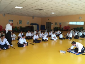 Asociacion para el Fomento del Aikido de Madrid - Afamadrid